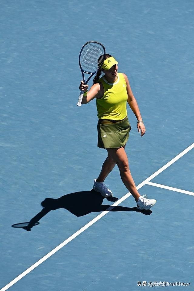 种国内分裂 种国内分裂