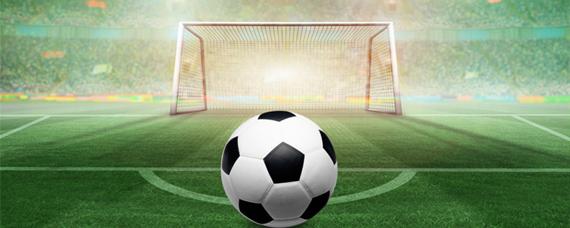 仅展示了球 仅展示了球